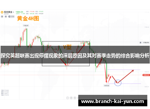 探究英超联赛出现停摆现象的深层原因及其对赛季走势的综合影响分析 探究英超联赛出现停摆现象的深层原因及其对赛季走势的综合影响分析