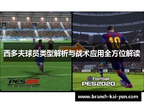 西多夫球员类型解析与战术应用全方位解读