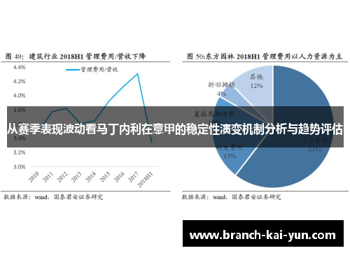 从赛季表现波动看马丁内利在意甲的稳定性演变机制分析与趋势评估