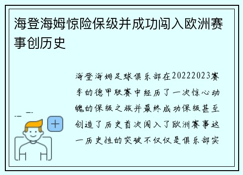 海登海姆惊险保级并成功闯入欧洲赛事创历史